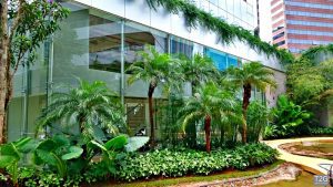 vidro-estrutural-fachada-sistema-spider-central-vila-olimpia-tg-1