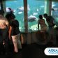 piscina-de-vidro-aquavision-aquario-guaruja-tg-3